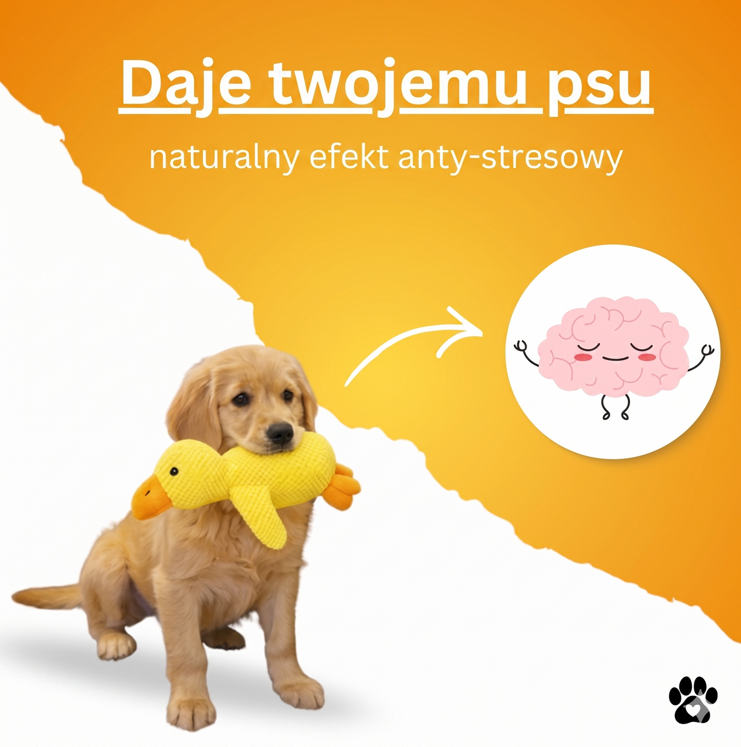 Kaczka antystresowa