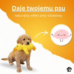 Kaczka antystresowa