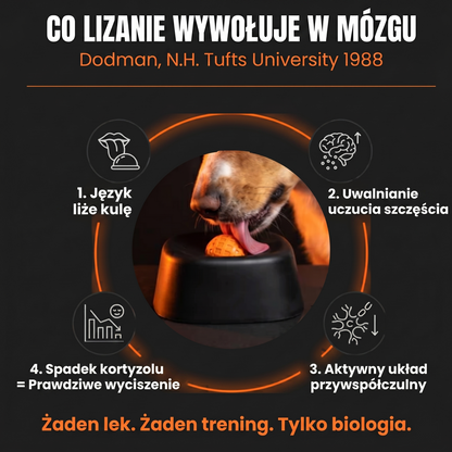 Antystresowa miska do lizania dla psa