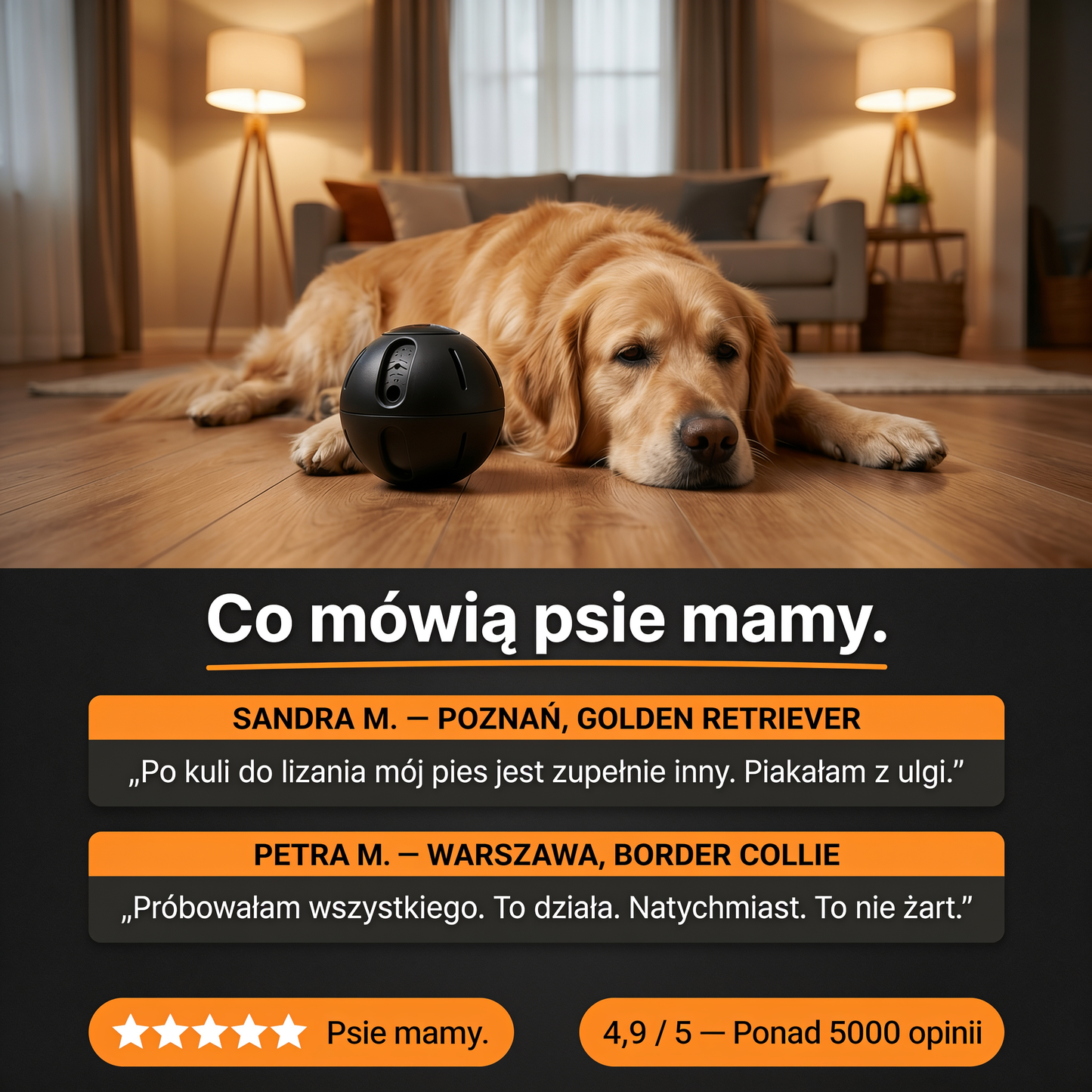 Antystresowa miska do lizania dla psa