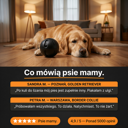 Antystresowa miska do lizania dla psa